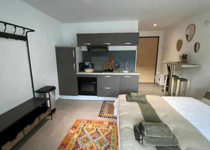 Casa Carlu Maria Ii 公寓 *